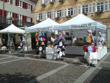 bietigheim-2015-1.jpg